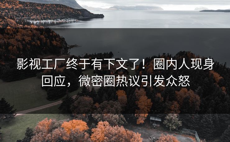 影视工厂终于有下文了！圈内人现身回应，微密圈热议引发众怒