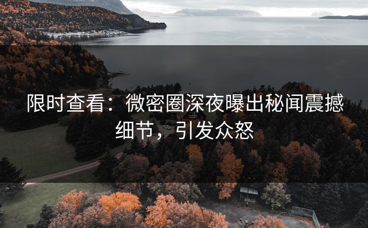 限时查看：微密圈深夜曝出秘闻震撼细节，引发众怒