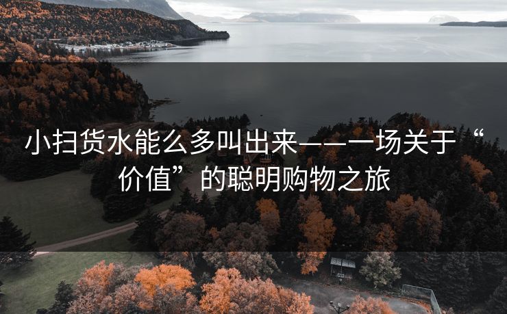 小扫货水能么多叫出来——一场关于“价值”的聪明购物之旅