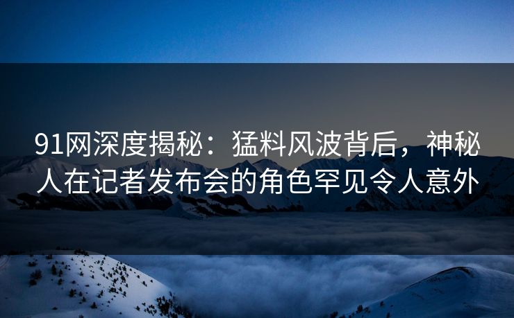 91网深度揭秘：猛料风波背后，神秘人在记者发布会的角色罕见令人意外