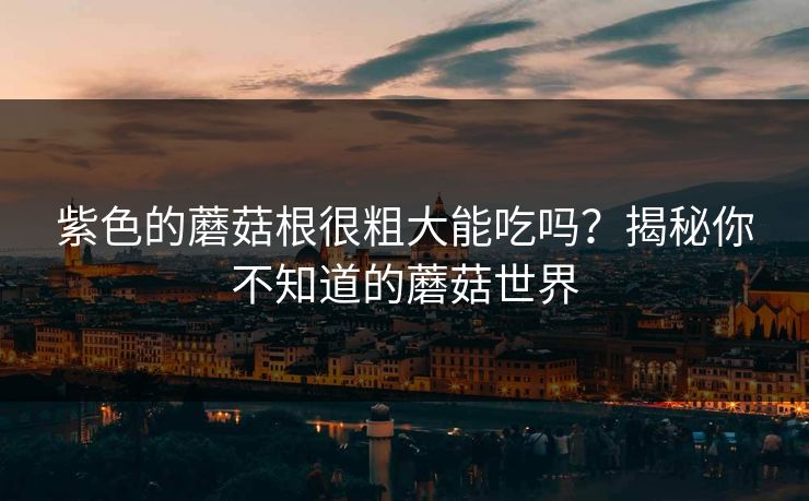 紫色的蘑菇根很粗大能吃吗？揭秘你不知道的蘑菇世界