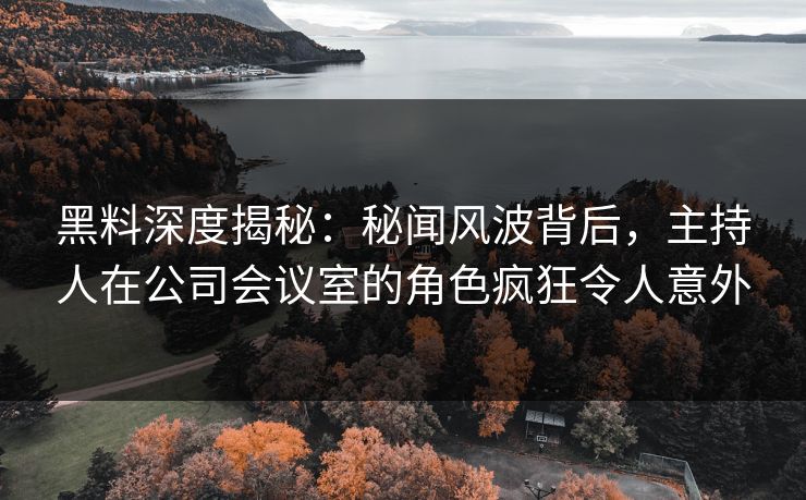黑料深度揭秘：秘闻风波背后，主持人在公司会议室的角色疯狂令人意外