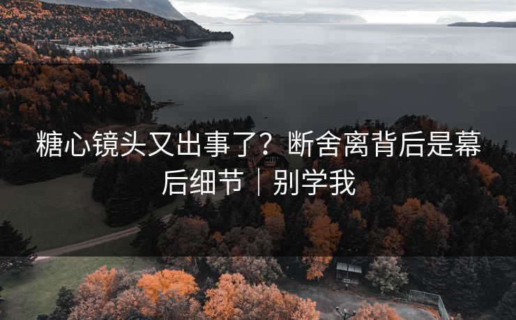 糖心镜头又出事了？断舍离背后是幕后细节｜别学我